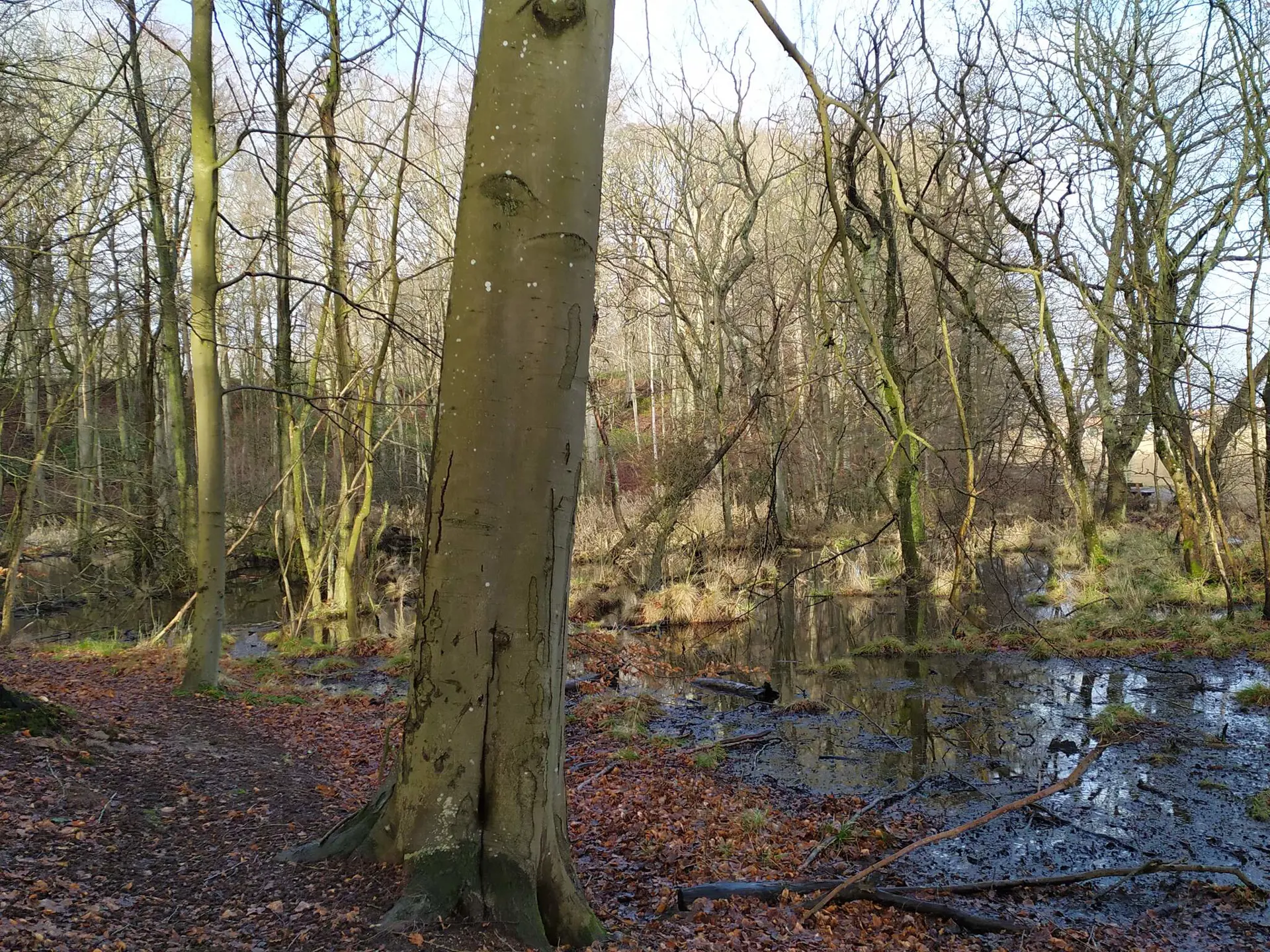 Bild 33 von 33