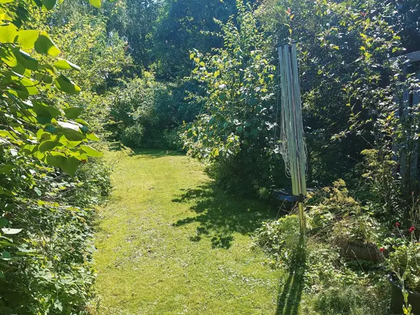 Bild 5 von 11