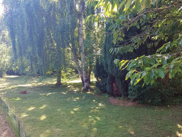 Bild 6 von 11