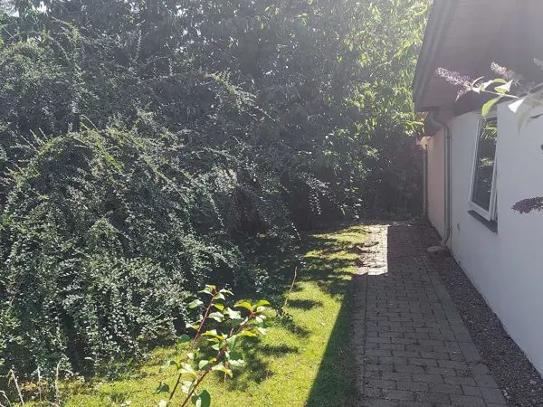 Bild 8 von 11