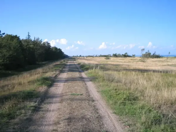Bild 42 von 44