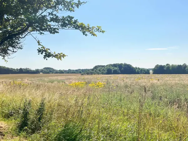 Bild 12 von 12
