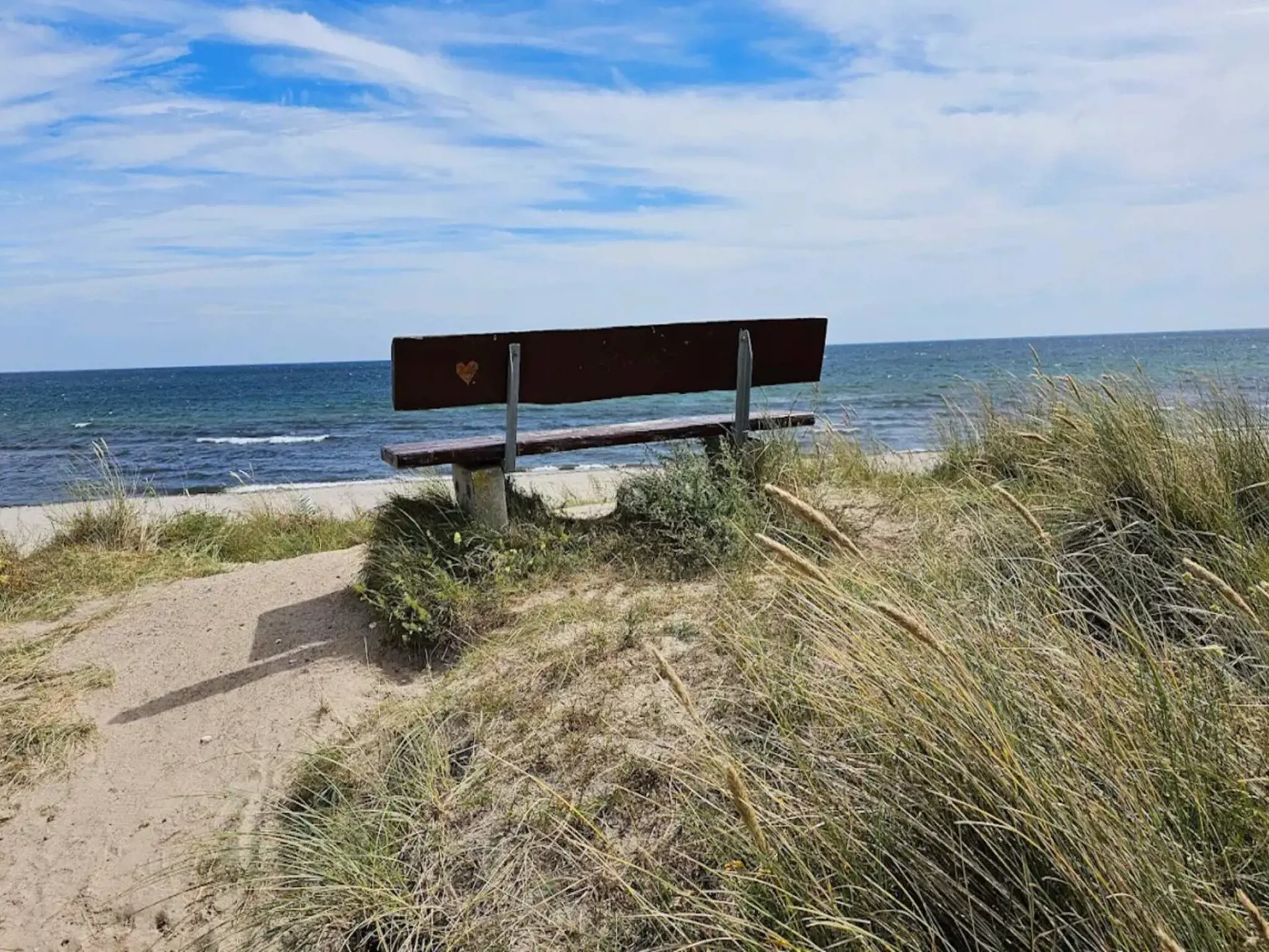 Bild 2 von 39