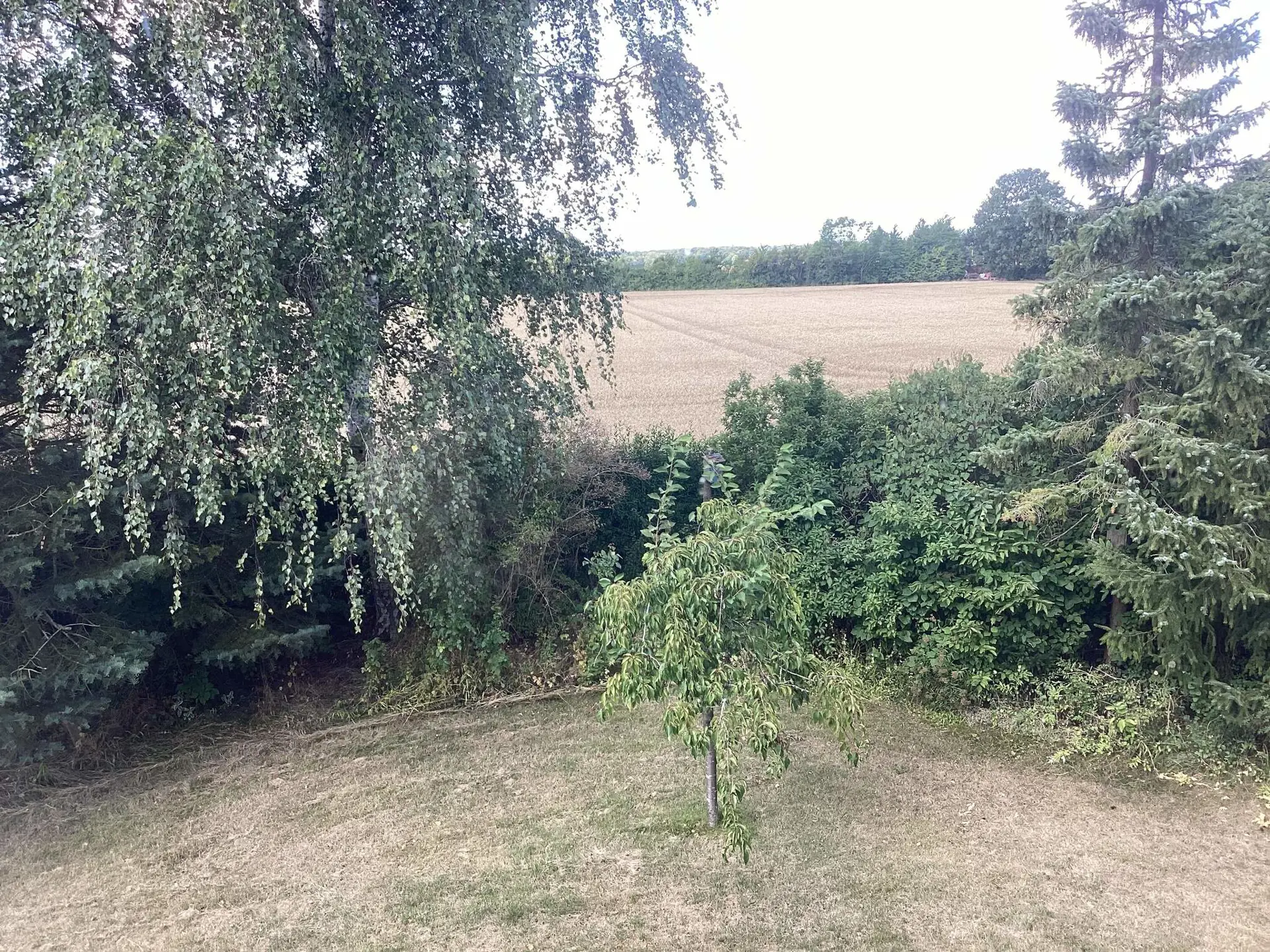 Bild 26 von 33