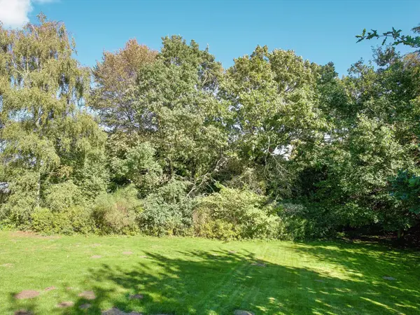 Ferienhaus 66560 in Hessel Ager 8, Hald Strand | Bild 7 von 24