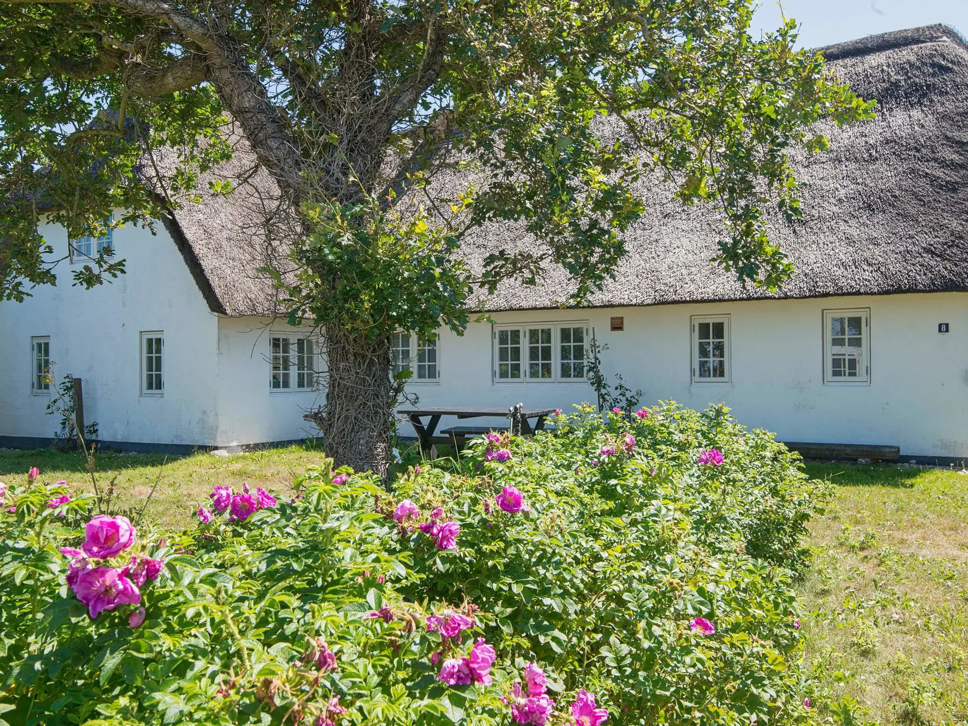 Haus 67442 in Ballum, Südjütland