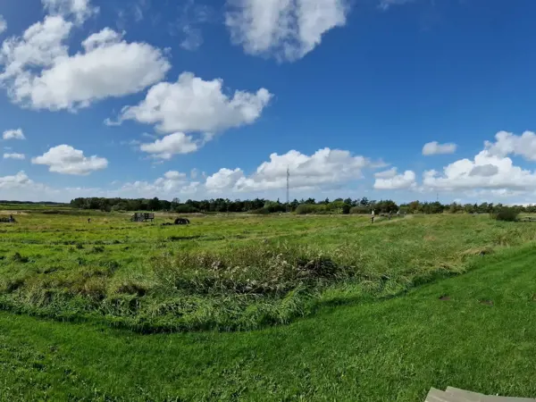 Bild 37 von 40