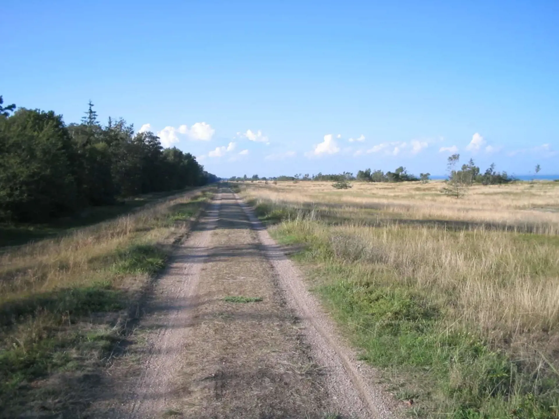 Bild 35 von 39