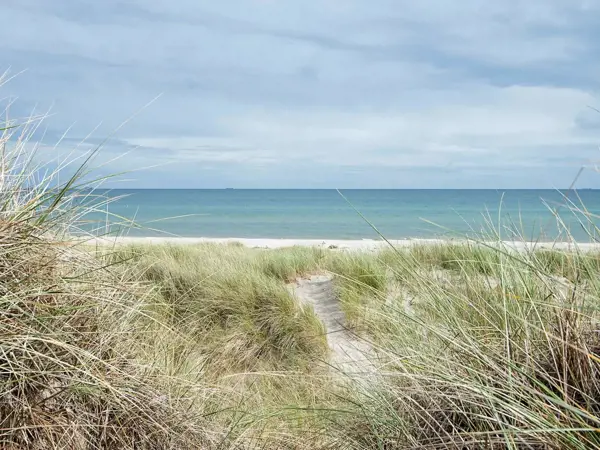 Bild 3 von 36