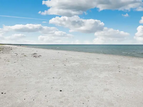 Bild 36 von 36