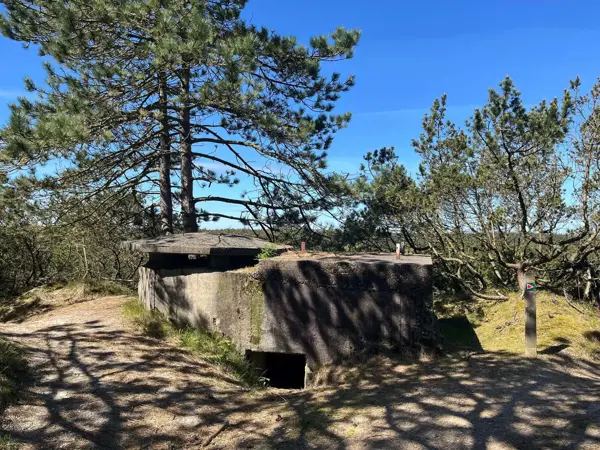 Bild 35 von 35