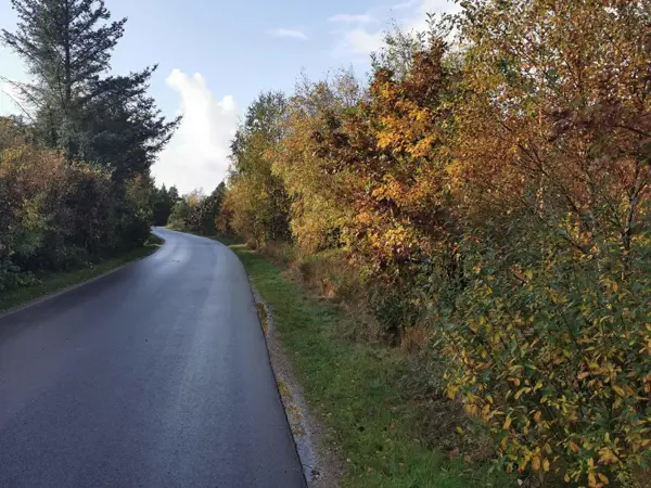 Bild 29 von 35