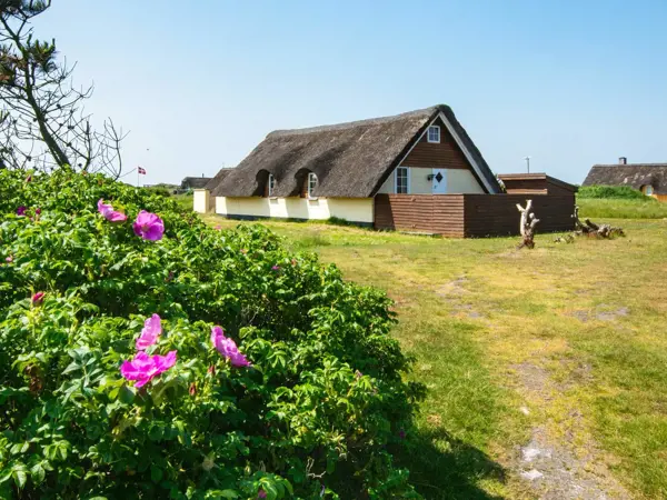 Ferienhaus 74861 in Klegod / Holmsland Klit