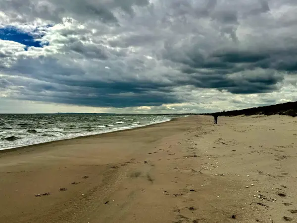 Bild 18 von 40