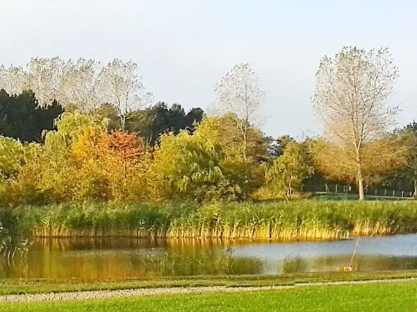 Bild 8 von 21