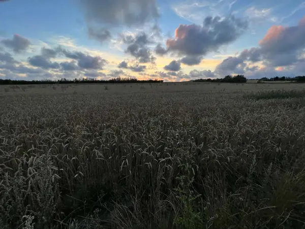 Bild 26 von 35
