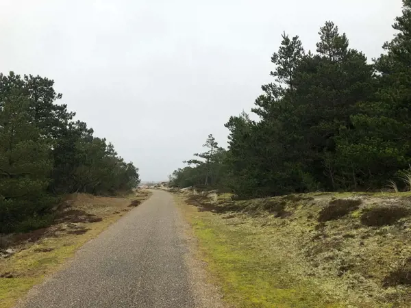 Bild 32 von 35