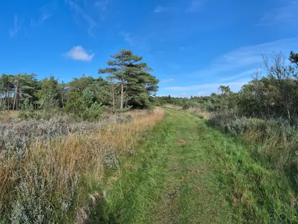 Bild 29 von 34