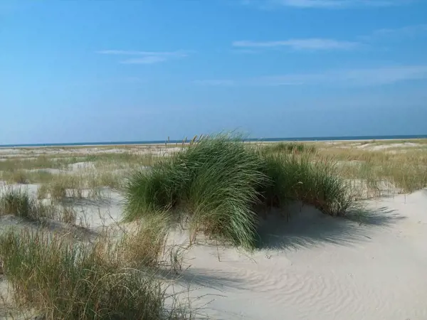 Bild 33 von 34