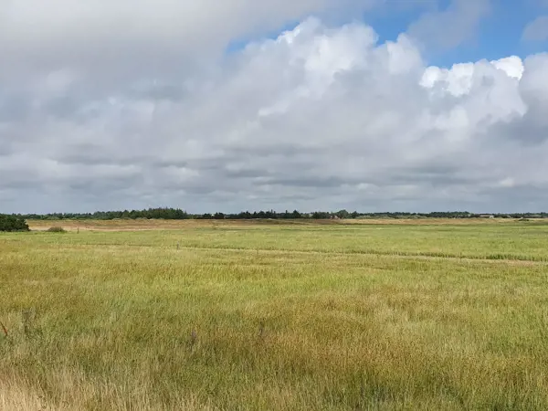 Bild 39 von 39
