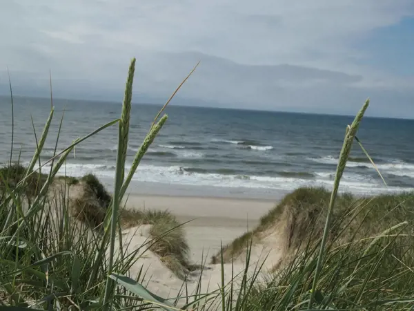 Bild 21 von 21