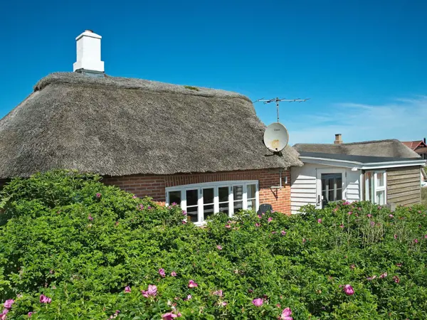 Ferienhaus 84771 in Søndervig / Holmsland Klit