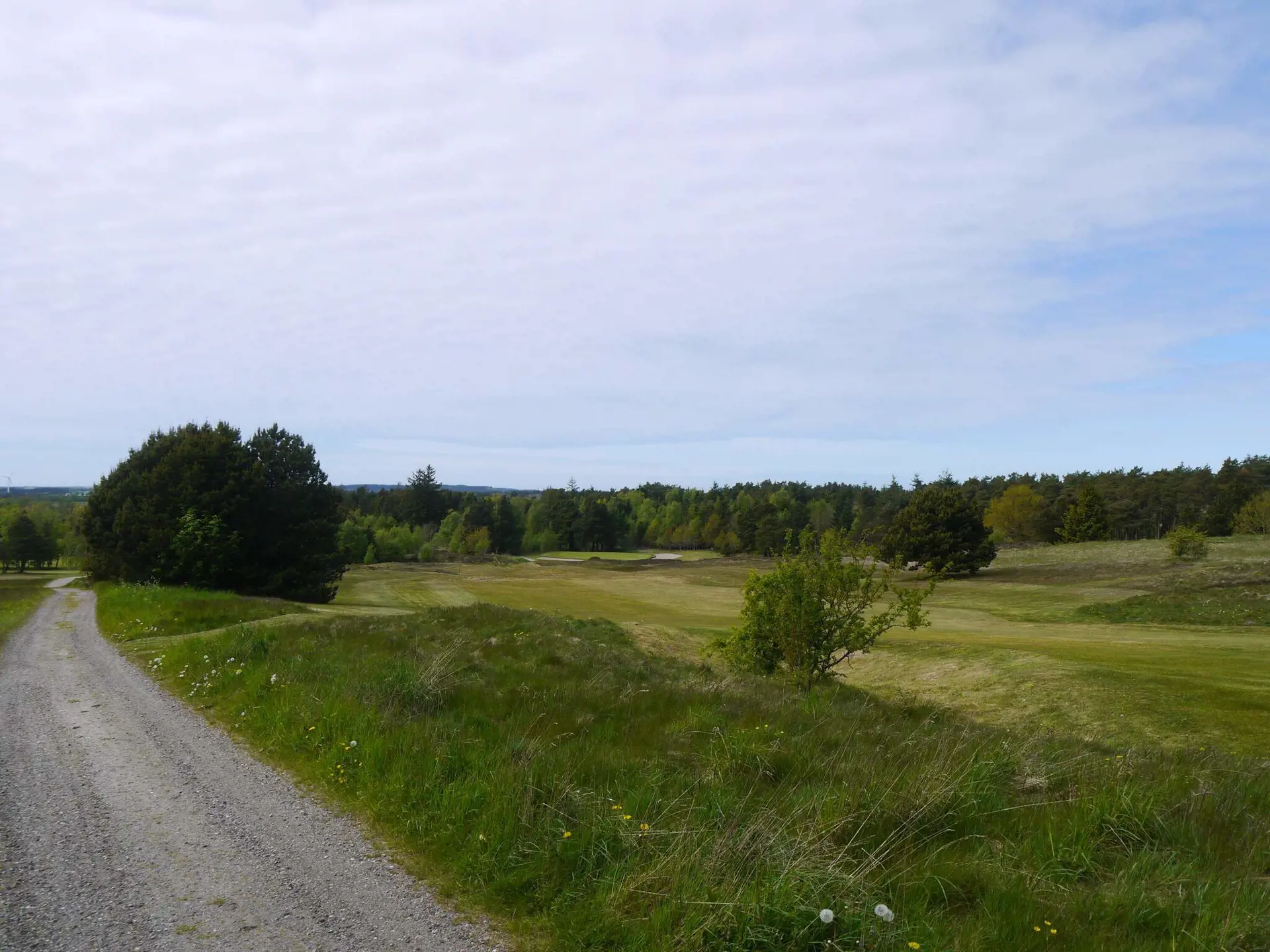 Bild 29 von 36