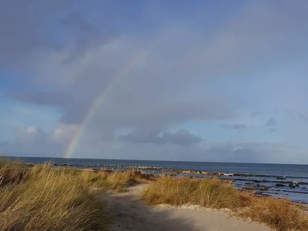 Bild 22 von 40