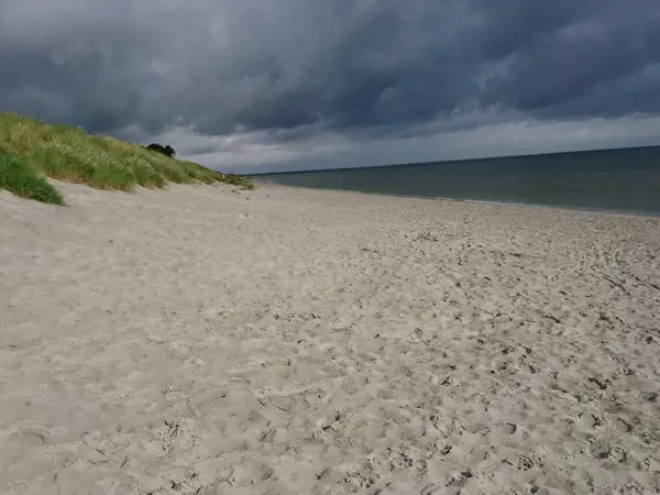 Bild 23 von 40