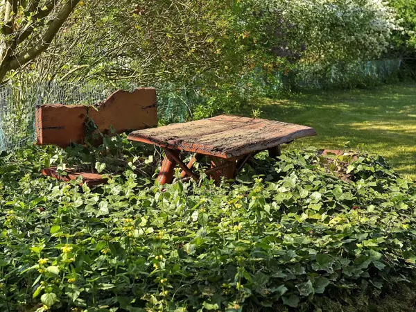 Bild 35 von 35
