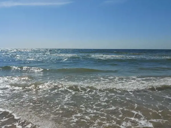 Bild 16 von 35