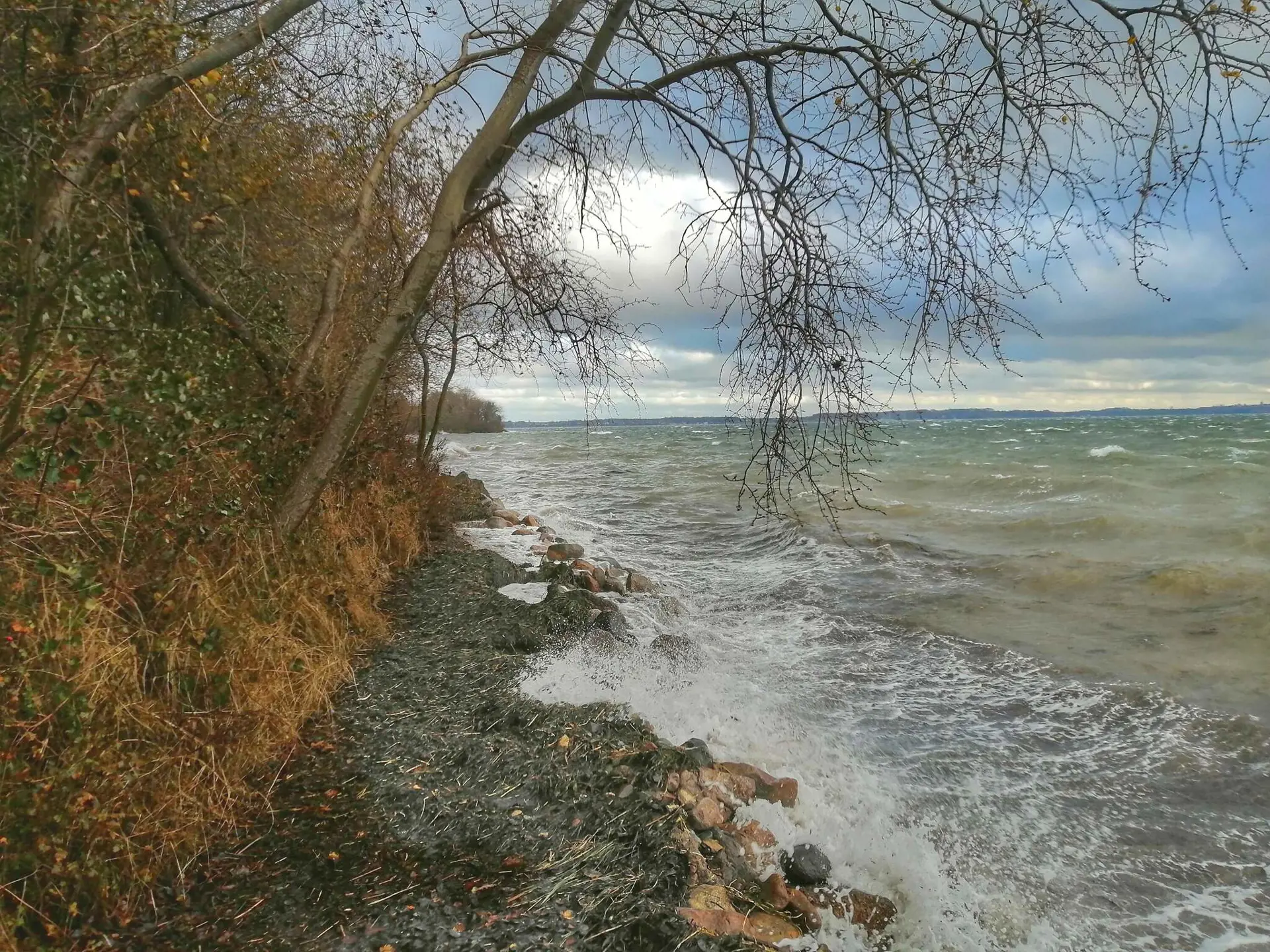 Bild 20 von 36