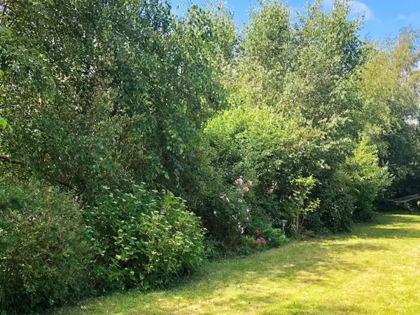 Bild 11 von 29