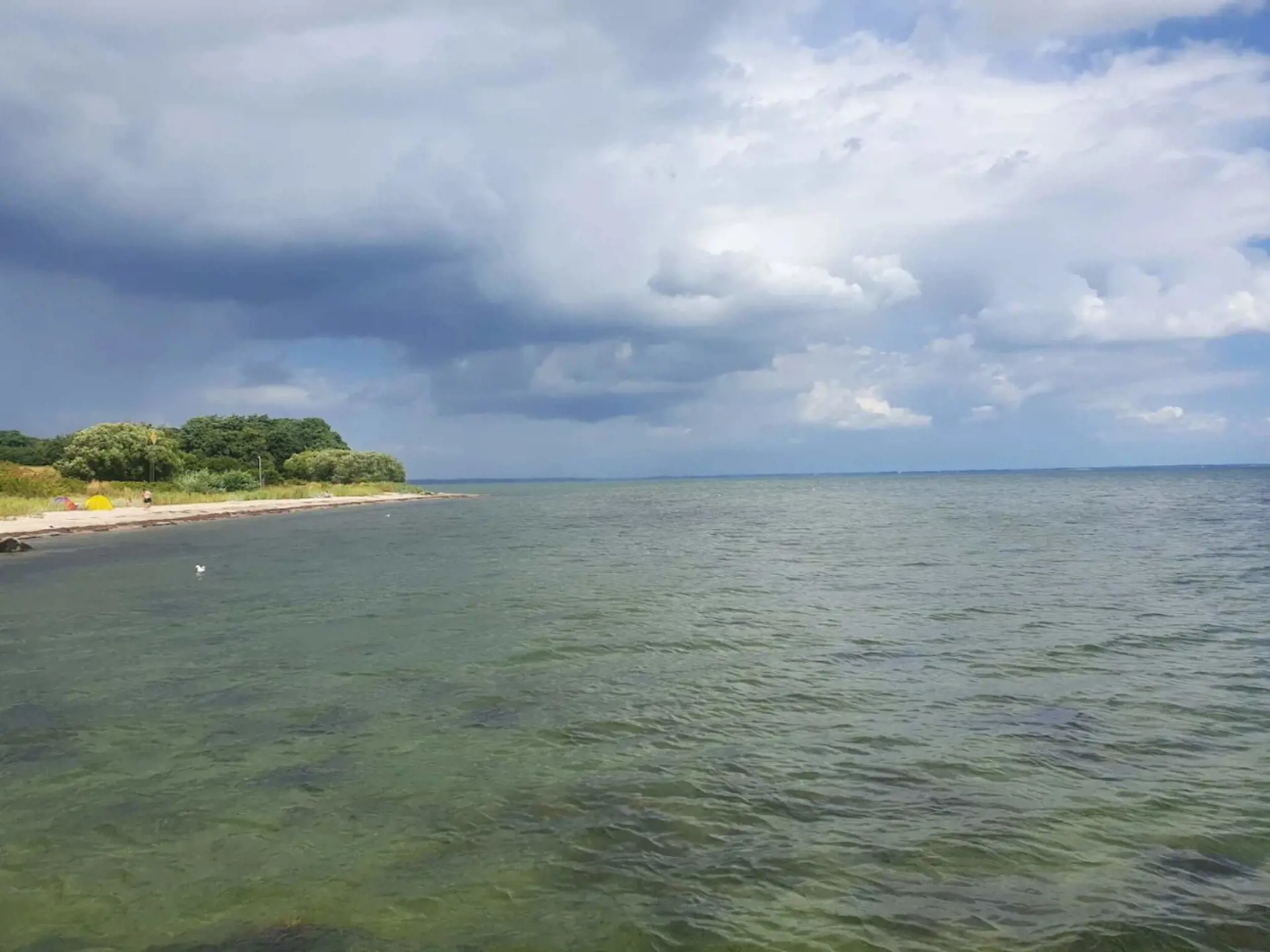 Bild 12 von 41