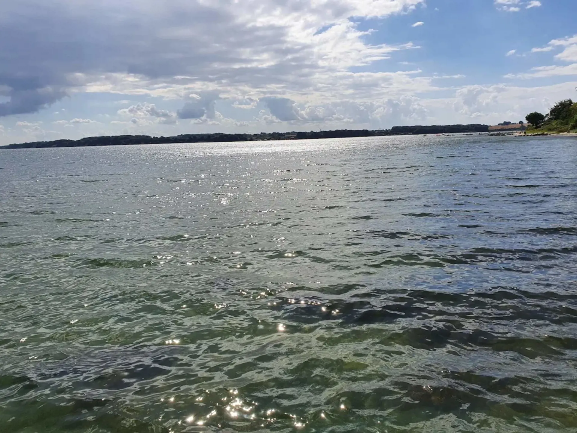 Bild 13 von 41