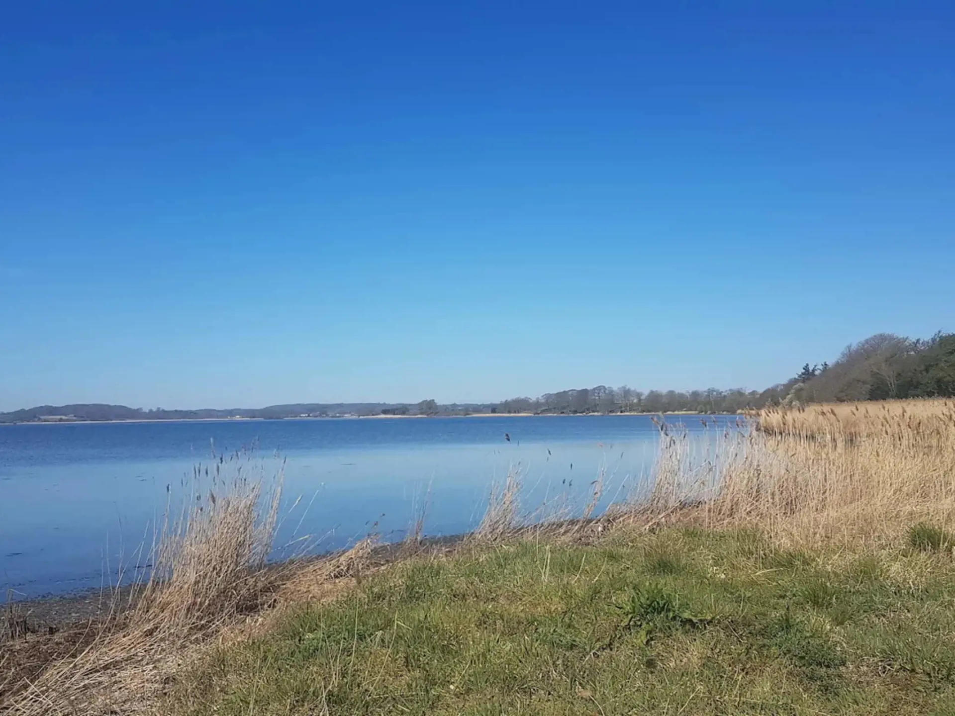 Bild 26 von 41