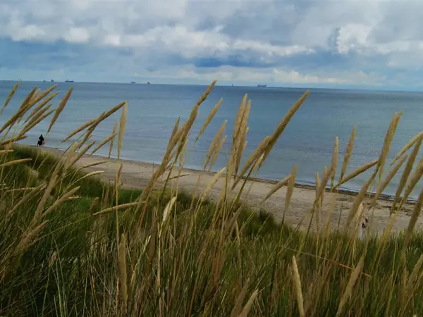 Bild 19 von 88