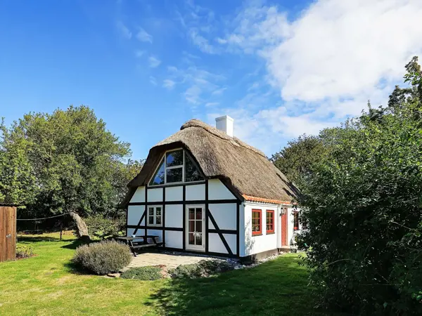 Ferienhaus 98243 in Ristinge / Langeland