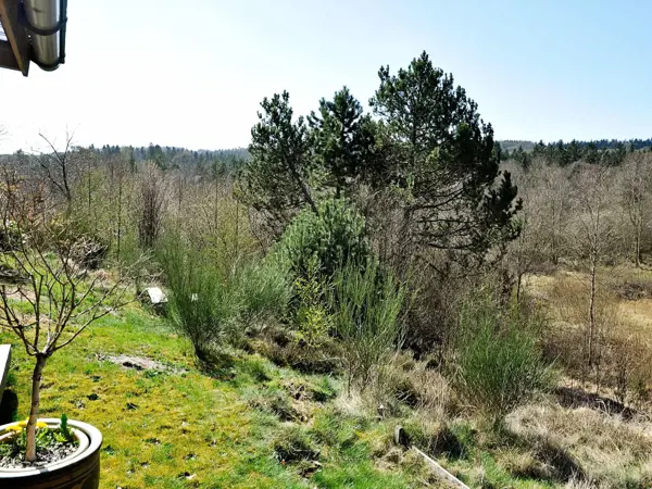 Bild 10 von 26