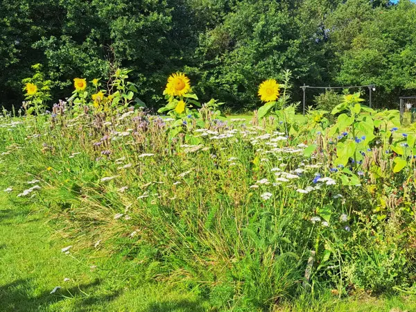 Bild 38 von 46