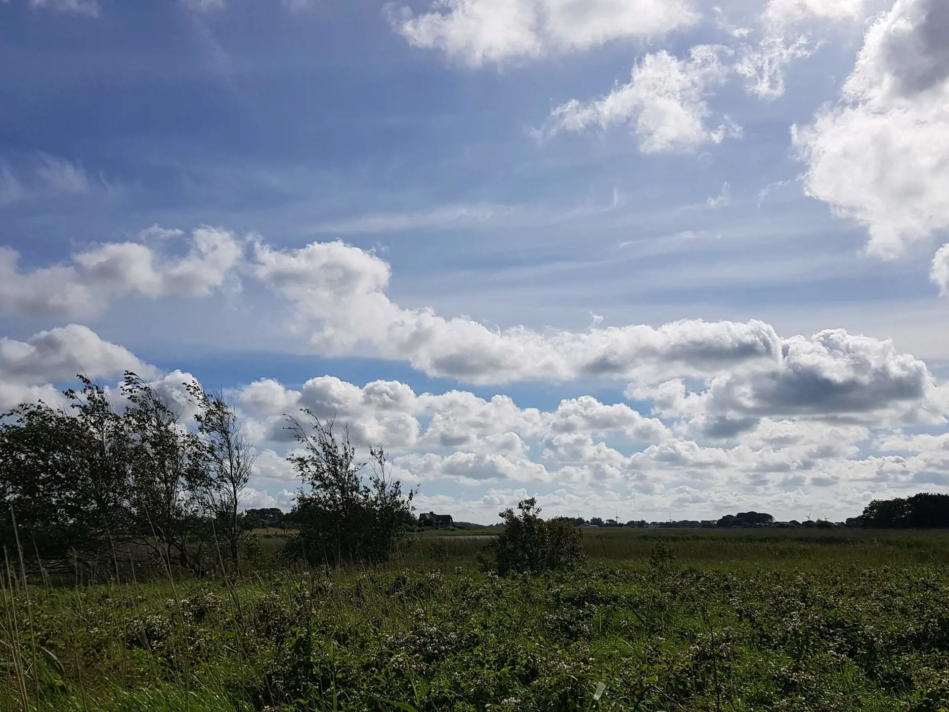 Bild 32 von 36