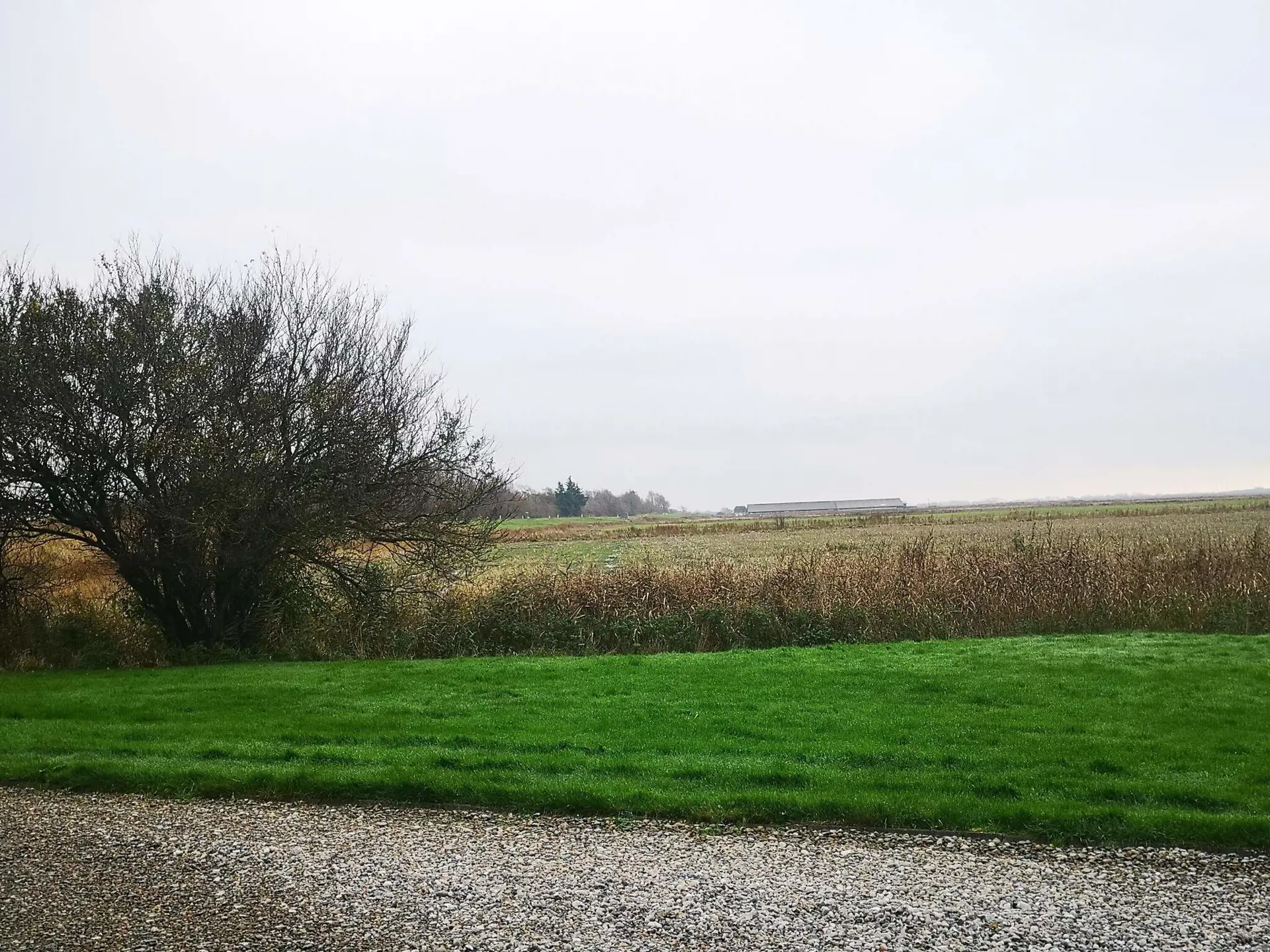 Bild 36 von 36