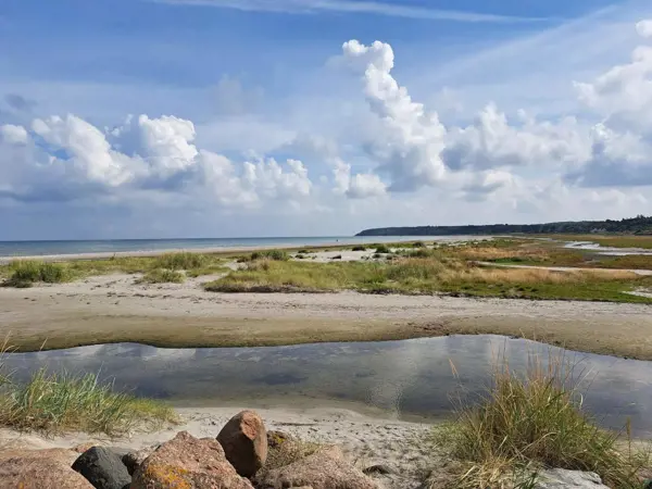 Bild 19 von 63