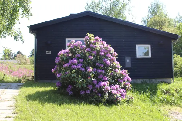 Bild 26 von 27