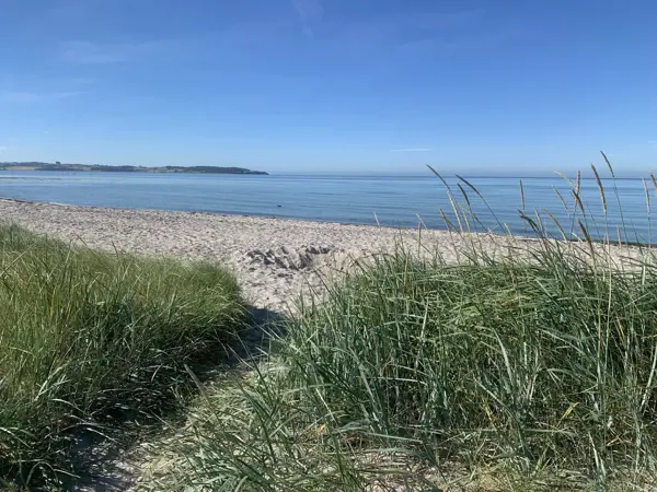 Bild 2 von 31