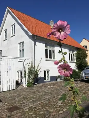 Haus 00838 in Ebeltoft, Ebeltoft