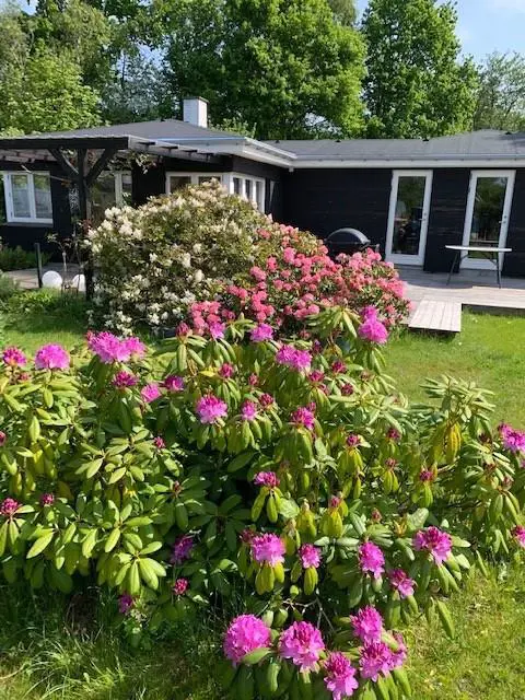 Bild 25 von 26