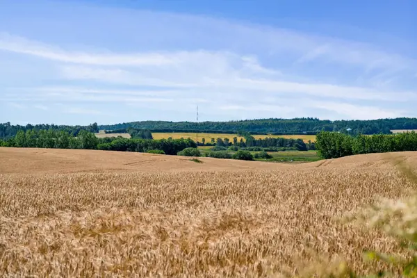 Bild 22 von 22