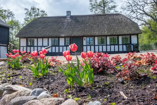 Ferienhaus 20131 in Femmøller / Ebeltoft