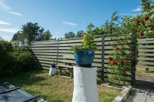 Bild 19 von 19